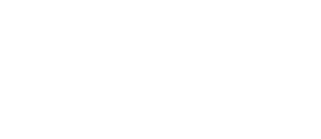 Ace Prestige Chauffeur Services Paris